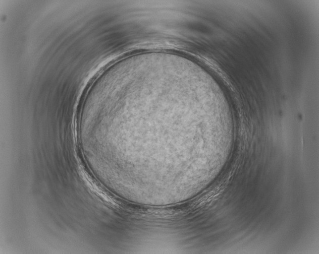 X0000053130840200508012215