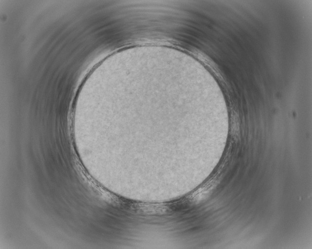 X0000053130856200508012215