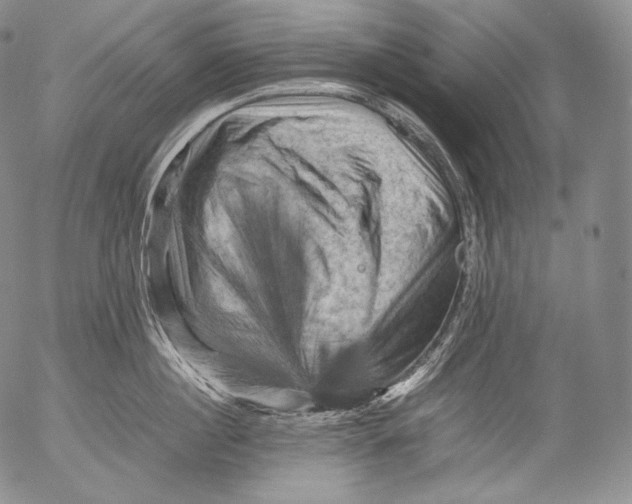 X0000053130860200508012216