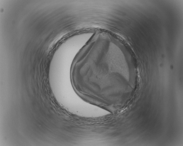 X0000053130871200508012215