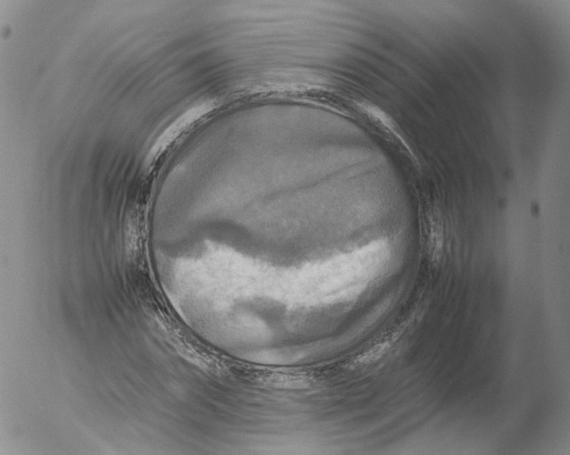 X0000053130874200508012215