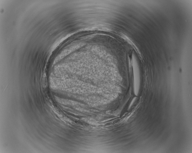 X0000053130876200508012215