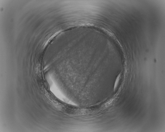 X0000053130881200508012215