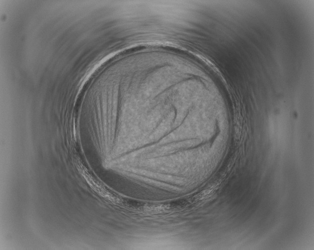 X0000053130887200508012214
