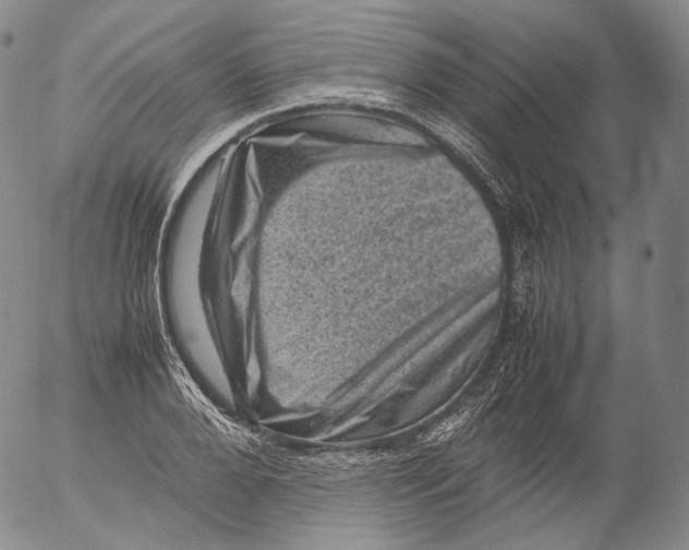 X0000053130888200508012214