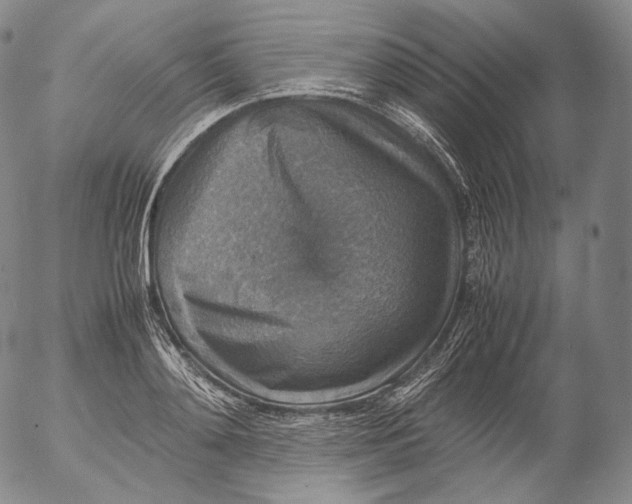 X0000053130892200508012214
