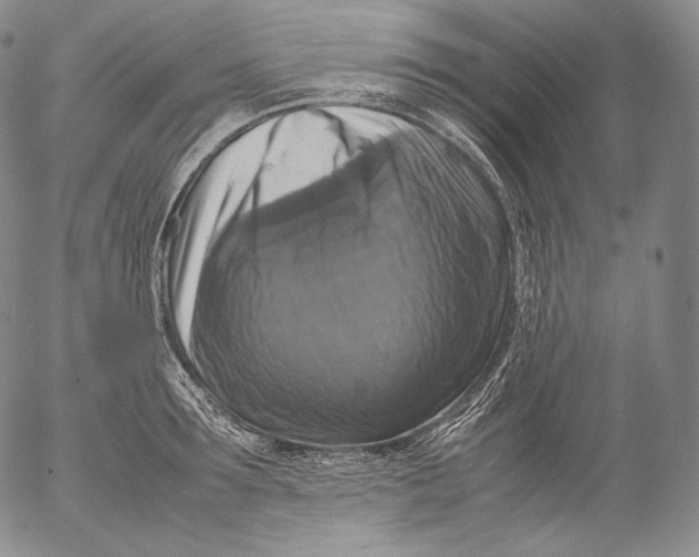 X0000053130899200508012214