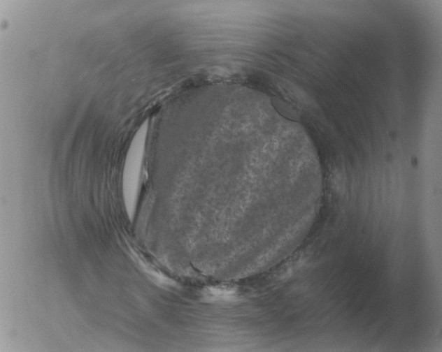 X0000053130914200508012213