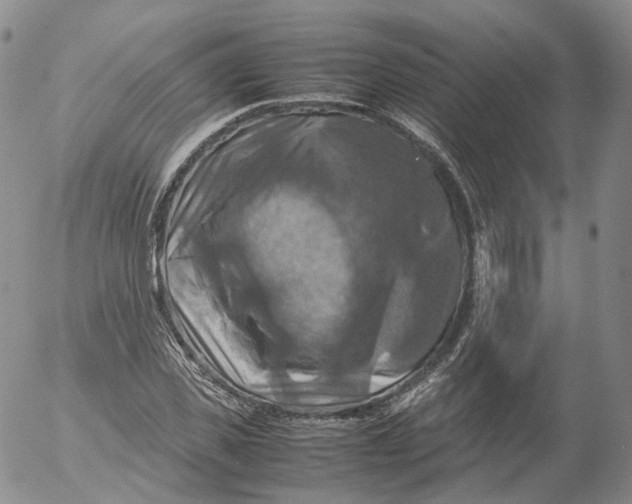 X0000053130925200508012213