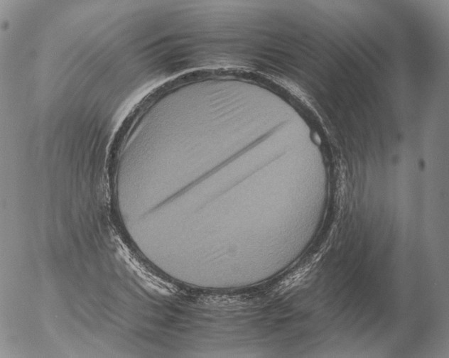 X0000053130927200508012213