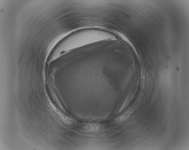 X0000053130935200508012214