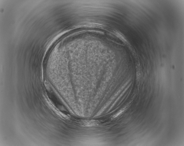 X0000053130940200508012214