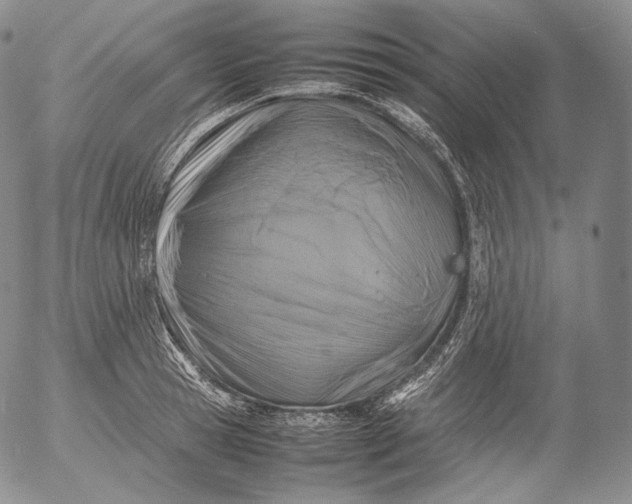 X0000053130945200508012214