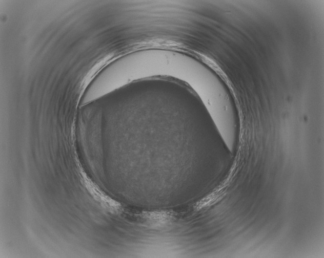 X0000053130946200508012214