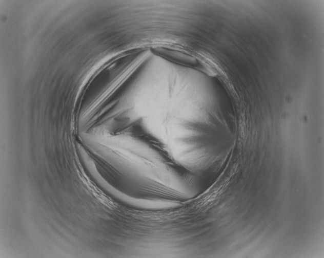 X0000053130948200508012214