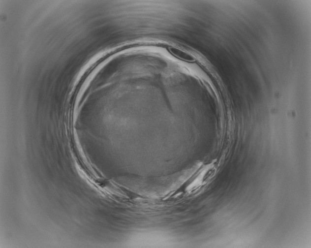 X0000053130958200508012214