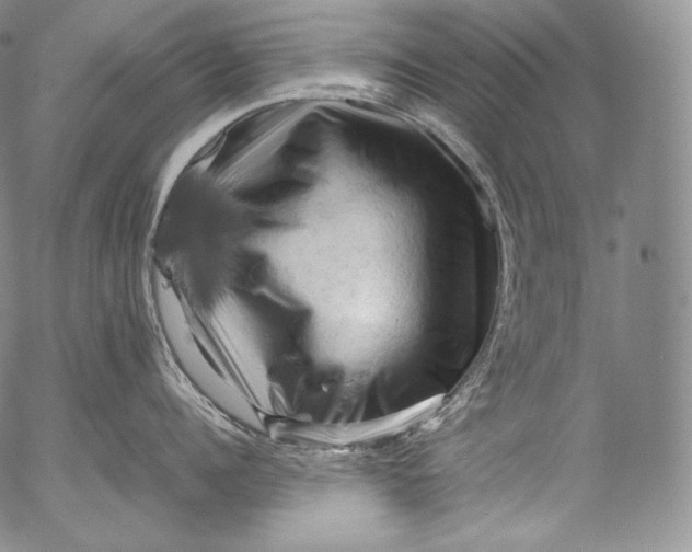 X0000053130960200508012214