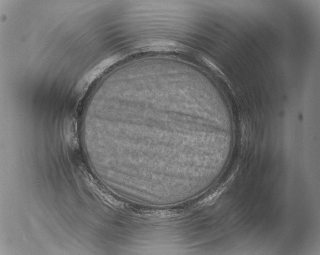 X0000053130970200508012213