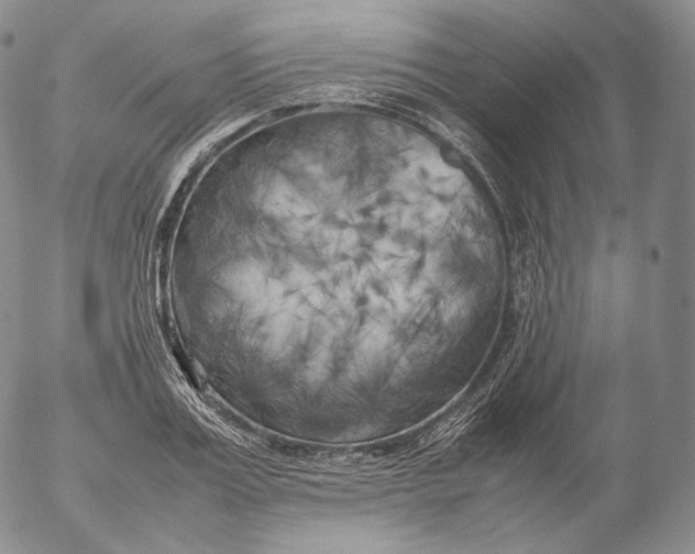X0000053130987200508012213