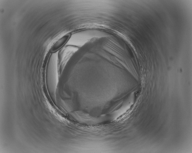 X0000053130995200508012213