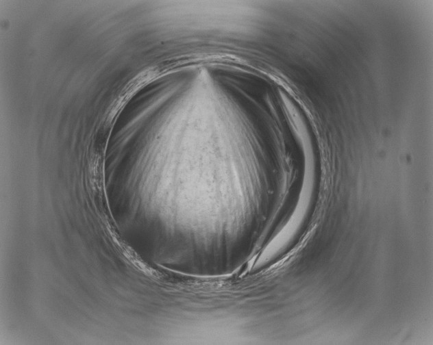 X0000053131001200508012212