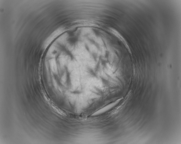 X0000053131002200508012212