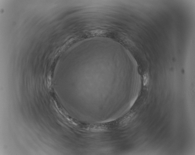 X0000053131011200508012212