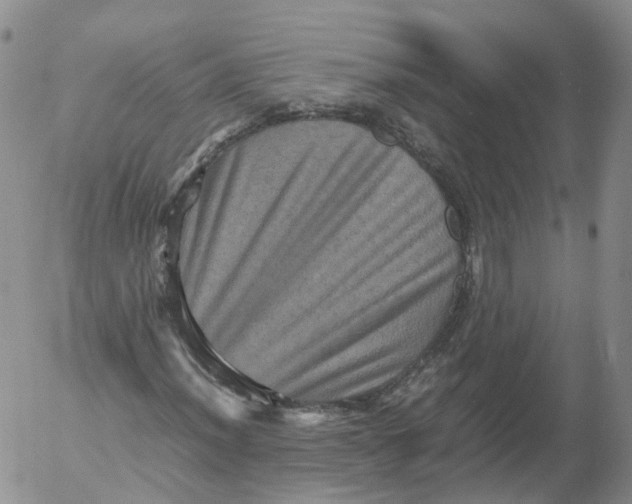 X0000053131012200508012212