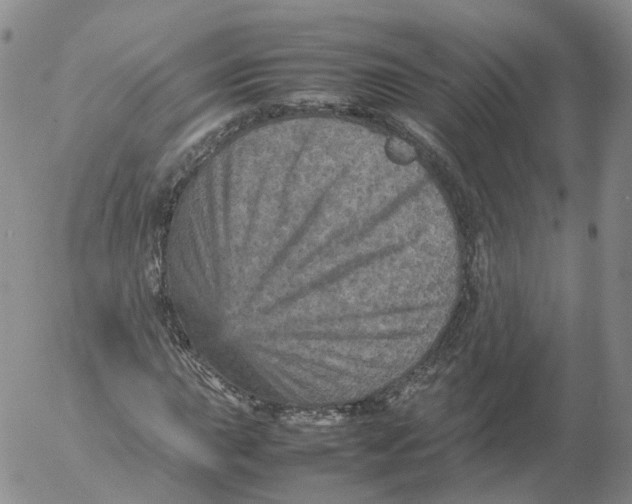 X0000053131015200508012212