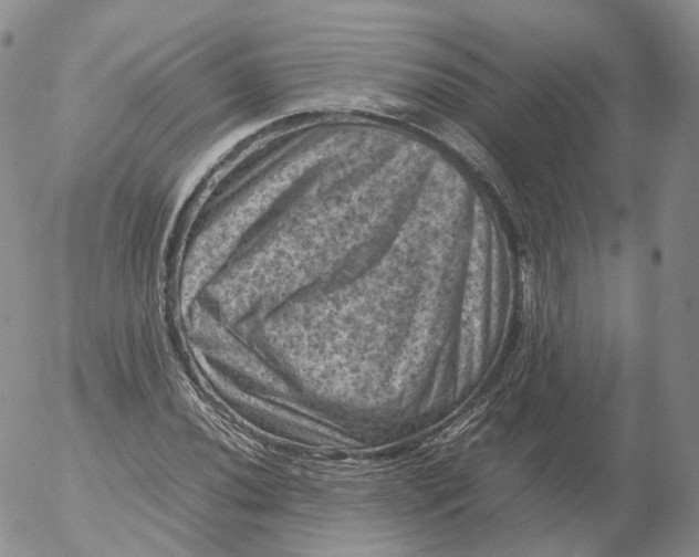 X0000053131020200508012212