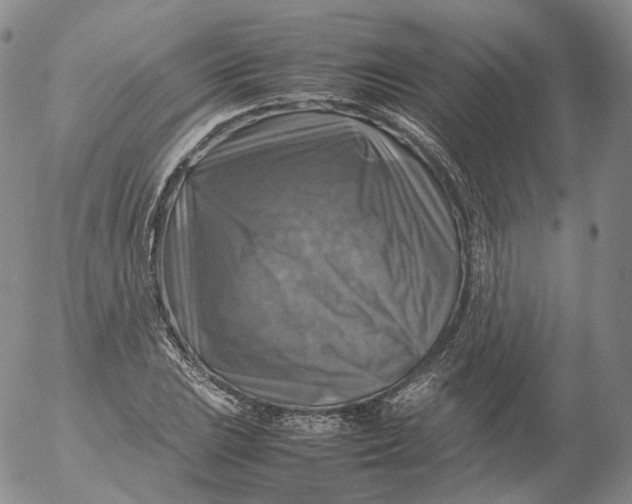 X0000053131023200508012212