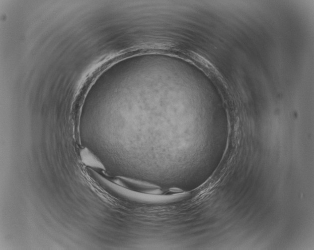 X0000053131027200508012212