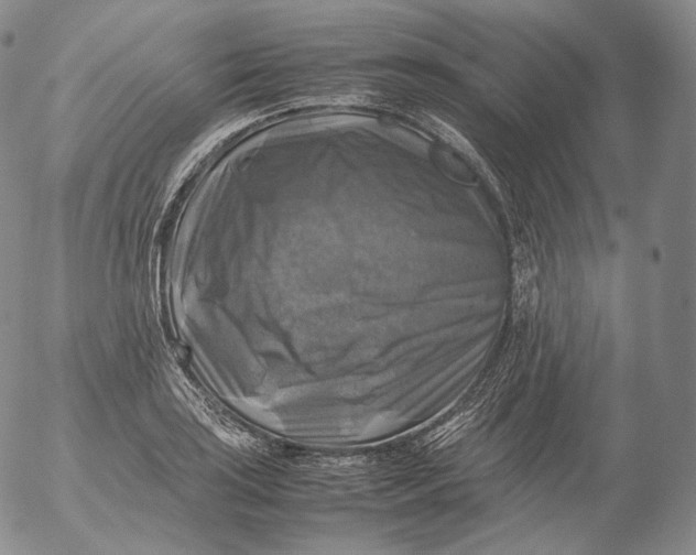 X0000053131035200508012212