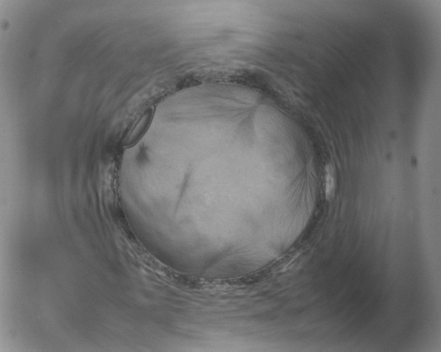 X0000053131059200508012211