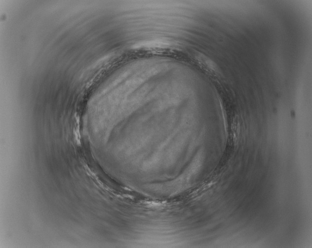X0000053131062200508012211