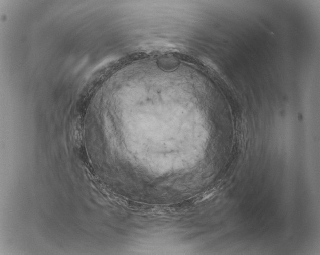 X0000053131063200508012211