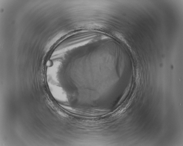 X0000053131071200508012211