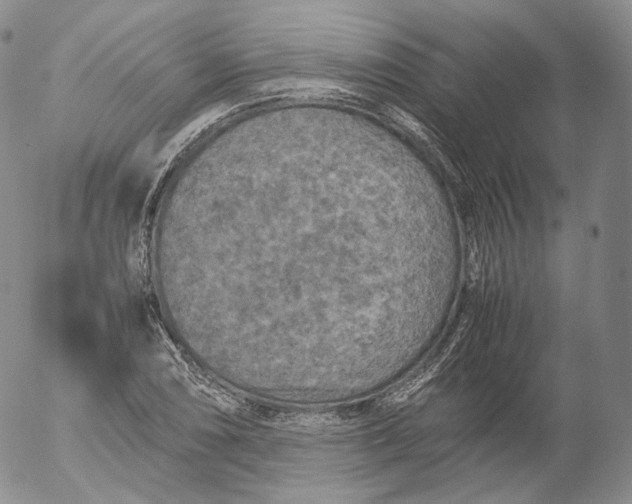 X0000053131074200508012211