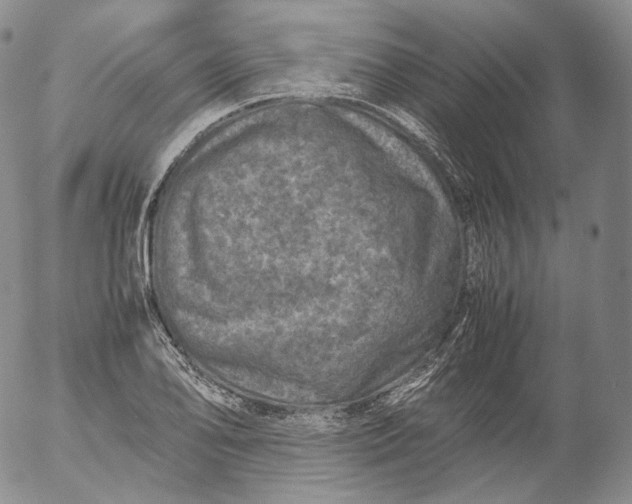 X0000053131078200508012211