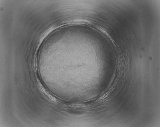 X0000053131083200508012211