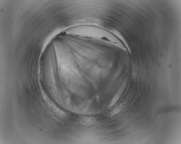 X0000053131096200508012211