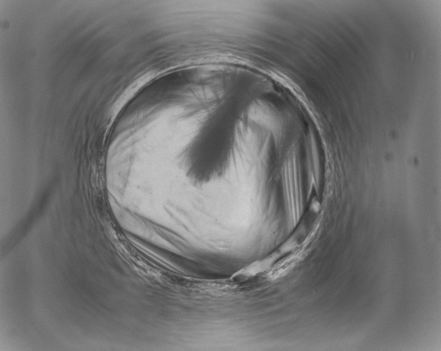 X0000053131097200508012211