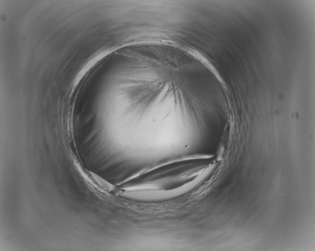 X0000053131101200508012211