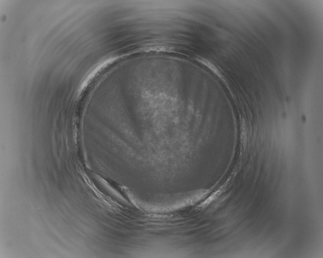 X0000053131115200508012210