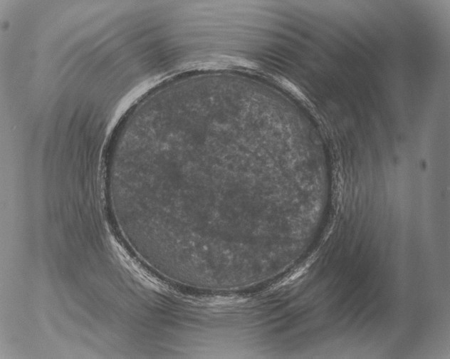 X0000053131122200508012210