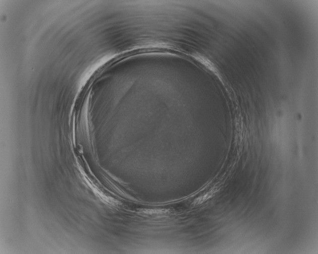 X0000053131127200508012210