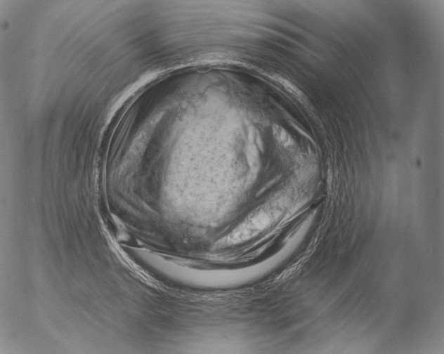 X0000053131134200508012210