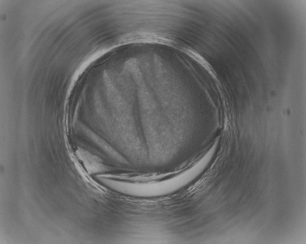 X0000053131144200508012211