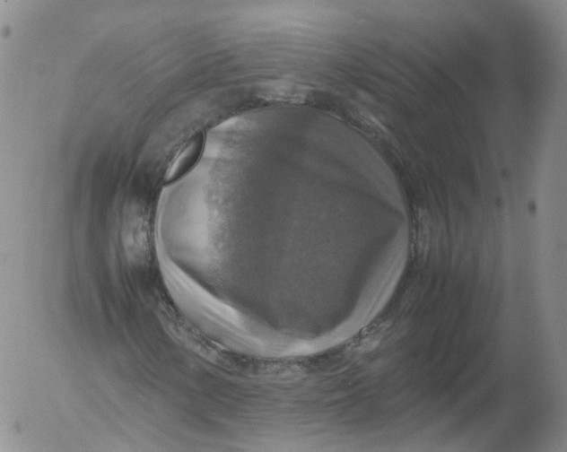 X0000053131154200508012210