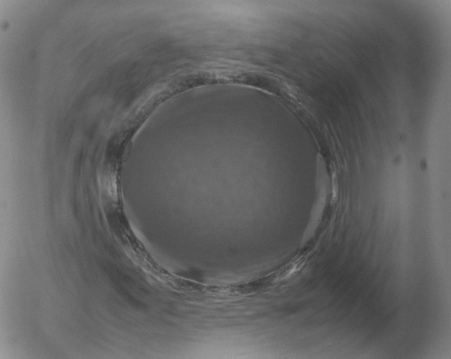 X0000053131155200508012210